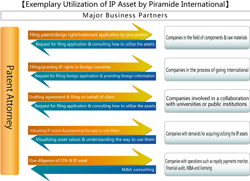 Exemplary Utilization of IP Asset by Piramide International